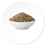 Ajwain