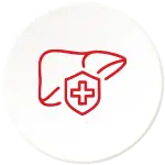 Hepatoprotective & Cholagogue Effects