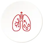 Mucus Reduction