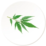 Neem