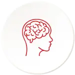 Nervous System Regulation