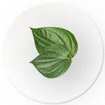 Paan