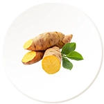 Turmeric