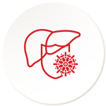 Liver Protection from Toxins