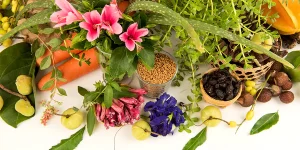 Best Herbs for Hair Growth and Thickness: Uses and Evidence