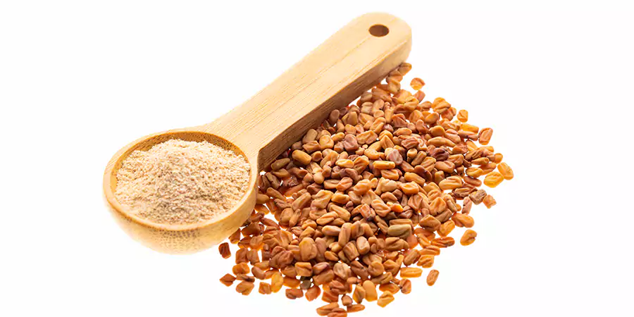 Fenugreek
