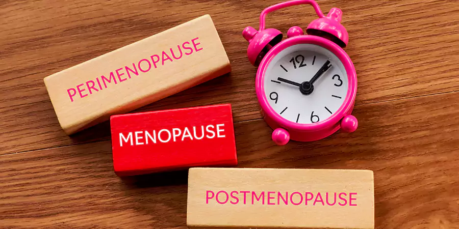 Puberty, breastfeeding, and perimenopause 